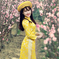 Đề thi Violympic Vật Lý lớp 6 vòng 8 năm học 2016 - 2017