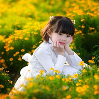 Đề thi học kì 2 lớp 2 môn Toán, Tiếng Việt trường tiểu học Toàn Thắng năm 2015 - 2016