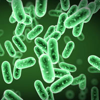 Giải bài tập trang 101 SGK Sinh học lớp 10: Sinh trưởng của vi sinh vật