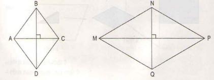 Diện tích hình thoi Giải bài tập trang 142, 143 SGK Toán 4