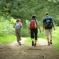 Giải bài tập SGK Tiếng Anh lớp 7 Unit 15 GOING OUT