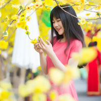 Đề thi thử THPT Quốc gia năm 2017 môn Ngữ văn trường THPT chuyên Đại học Vinh (Lần 1)