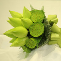 Giải bài tập trang 139, 140, 141 SGK Vật lý lớp 9: Sự phân tích ánh sáng trắng