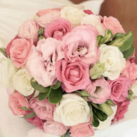 Giải bài tập trang 144, 145 SGK Vật lý lớp 9: Màu sắc các vật dưới ánh sáng trắng và dưới ánh sáng màu