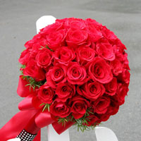 Giải bài tập trang 146, 147, 148 SGK Vật lý lớp 9: Các tác dụng của ánh sáng