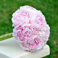 Đề thi giữa học kì 2 môn Địa lý lớp 6 trường THCS Phan Chu Trinh