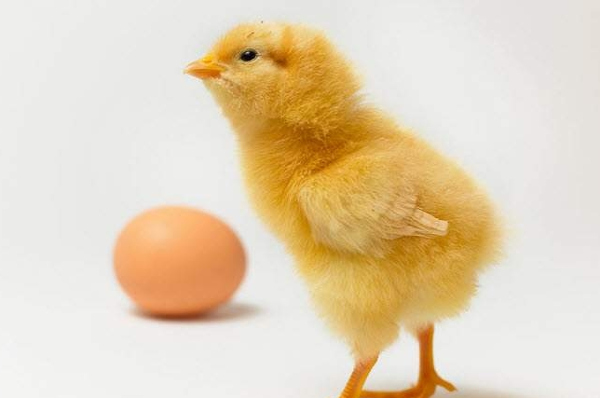 Những câu đố vui hài hước Những câu đố vui hài hước