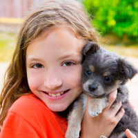 Giải bài tập trang 142, 143, 144 SGK Toán 1: So sánh các số có hai chữ số - Luyện tập