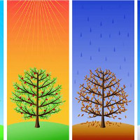 Tiếng Anh lớp 5 Chương trình mới Unit 16 THE WEATHER AND SEASONS