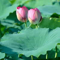 Đề thi giữa học kì 2 môn Ngữ văn lớp 6 trường THCS Nam Đà, Đăk Nông năm học 2016 - 2017