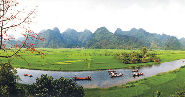 Văn mẫu lớp 8