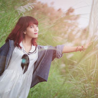 Câu hỏi trắc nghiệm môn Toán lớp 12: Phương trình lôgarit