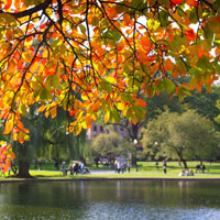 Bình giảng hai khổ thơ đầu trong bài Sang thu của Hữu Thỉnh