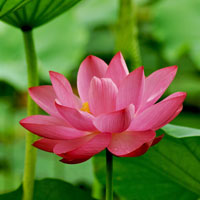 Đề kiểm tra 1 tiết học kì 2 môn Ngữ văn lớp 7 trường THCS Lê Hồng Phong, Ninh Thuận năm học 2016 - 2017