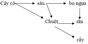 Đáp án đề thi giữa học kì 2 môn Sinh học lớp 9