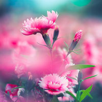 Đề thi giữa học kì 2 môn Vật lý lớp 9 Phòng GD&ĐT Kỳ Anh, Hà Tĩnh năm học 2016 - 2017