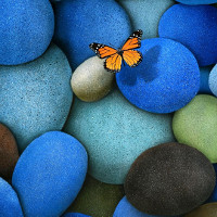 Đề thi thử THPT Quốc gia năm 2017 môn Tiếng Anh trường THPT Hoàng Quốc Việt, Yên Bái CÓ ĐÁP ÁN (4)