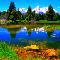 Đề thi thử THPT Quốc gia năm 2017 môn Tiếng Anh trường THPT Hoàng Quốc Việt, Yên Bái CÓ ĐÁP ÁN (5)