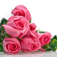 Đề thi thử THPT Quốc gia năm 2017 môn Tiếng Anh trường THPT Chu Văn An, Yên Bái CÓ ĐÁP ÁN (1)