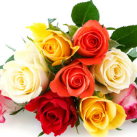 Đề thi thử THPT Quốc gia năm 2017 môn Tiếng Anh trường THPT Chu Văn An, Yên Bái CÓ ĐÁP ÁN (2)