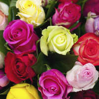 Đề thi thử THPT Quốc gia năm 2017 môn Tiếng Anh trường THPT Chu Văn An, Yên Bái CÓ ĐÁP ÁN (3)