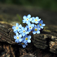 Đề kiểm tra học kì II lớp 9 môn Hóa học - Phòng Giáo dục Cam Ranh, Khánh Hòa