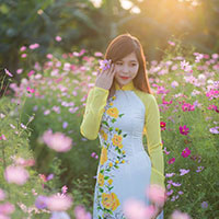 Đề thi giữa học kì 2 môn Ngữ văn lớp 8 trường THCS Bách Thuận, Thái Bình năm học 2016 - 2017