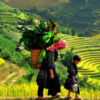 Giải bài tập SGK tiếng Anh lớp 3 Chương trình mới Unit 20 WHERE’S SA PA?