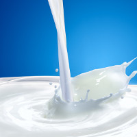 Giải bài tập SGK tiếng Anh lớp 4 Chương trình mới Unit 13 WOULD YOU LIKE SOME MILK?