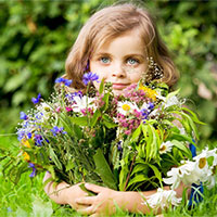 Đề thi học sinh giỏi môn Sinh học lớp 8 Phòng GD&ĐT Tiền Hải, Thái Bình năm học 2016 - 2017