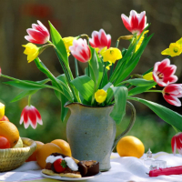 Đề thi thử THPT Quốc gia năm 2017 môn Tiếng Anh trường THPT Trần Nhật Duật, Yên Bái CÓ ĐÁP ÁN (7)