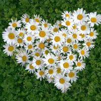 Đề thi thử THPT Quốc gia năm 2017 môn Tiếng Anh trường THPT Trần Nhật Duật, Yên Bái CÓ ĐÁP ÁN (9)