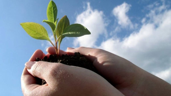 Chứng minh tục ngữ ăn quả nhớ kẻ trồng cây Văn mẫu lớp 7