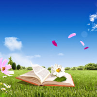 Đề thi thử THPT Quốc gia năm 2017 môn Tiếng Anh trường THPT Thác Bà, Yên Bái CÓ ĐÁP ÁN (3)