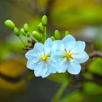 Đề thi giữa học kì 2 môn Địa lý lớp 12 trường THPT Nguyễn Trung Trực, An Giang năm học 2016 - 2017