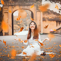 Đề kiểm tra bài viết số 5 môn Ngữ văn lớp 11 trường THPT Núi Thành, Quảng Nam năm học 2016 - 2017