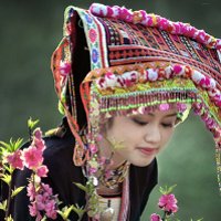 50 câu hỏi trắc nghiệm khách quan Địa lý lớp 8 (Phần 1)