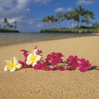 Bộ đề thi tuyển sinh vào lớp 10 môn Tiếng Anh CÓ ĐÁP ÁN (15)