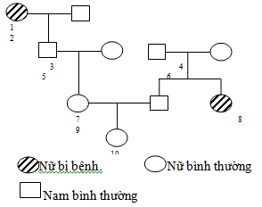 Đề thi thử THPT Quốc gia năm 2017 môn Sinh học