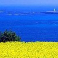 Đề thi giữa học kì 2 môn Ngữ văn lớp 9 trường THCS Mỹ Hưng, Hà Nội năm học 2016 - 2017