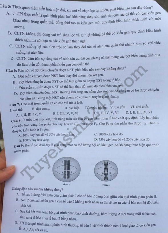 Đề thi thử THPT Quốc gia năm 2017 môn Sinh học