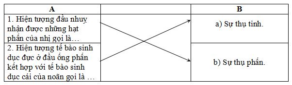 Đề thi học kì 2 môn Khoa học lớp 5