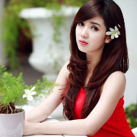 Bộ đề thi thử THPT Quốc gia năm 2017 môn Tiếng Anh trường THPT Lê Lợi, Nghệ An có đáp án (Lần 1)