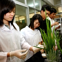 Đề thi giữa học kì 2 môn Sinh học lớp 12 trường THPT Nguyễn Trung Trực, An Giang năm học 2016 - 2017