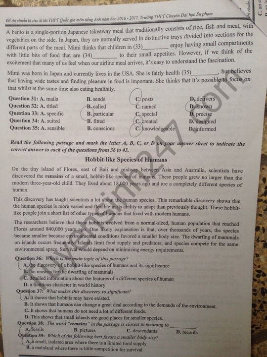 Gợi ý giải đề thi thử nghiệm THPT quốc gia 2017 môn tiếng Anh Đề thi thử nghiệm THPT quốc gia 2017 môn tiếng Anh