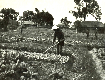 Kiểm tra Tiếng Anh 8 