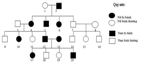 Đề thi thử THPT Quốc gia năm 2017 môn Sinh học