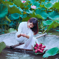 Đề thi học sinh giỏi môn Sinh học lớp 11 trường THPT Lý Thái Tổ, Bắc Ninh năm học 2016 - 2017