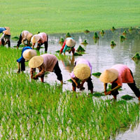 Đề thi và đáp án môn Cơ sở văn hóa Việt Nam