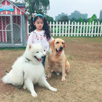 Đề thi học kì 2 môn Toán lớp 4 theo Thông tư 22